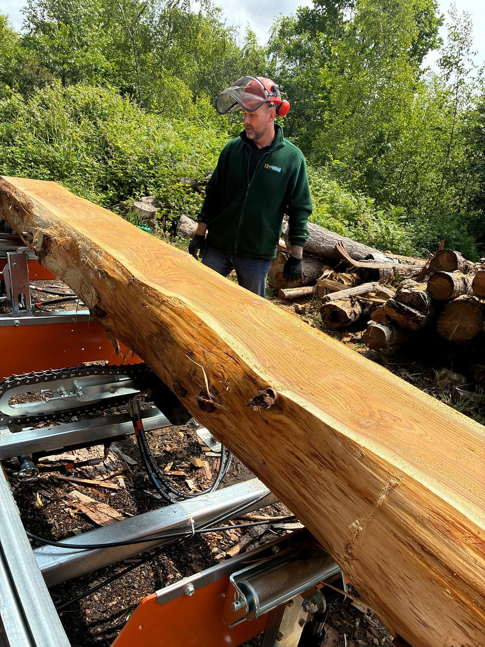 Man with hard hat and ear defenders working with a log on a sawmill
