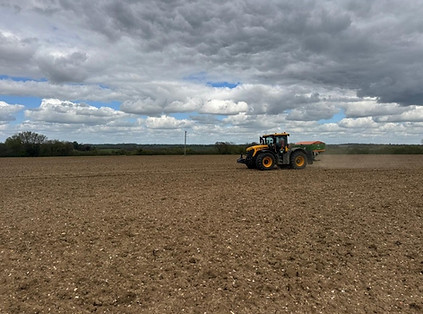 Fertilising.jpg
