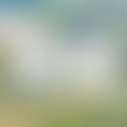 "We can't help everyone, but everyone can help someone" text with a background aerial view of the farm.