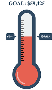 thermometer (8).png