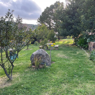 Detail of the Garden