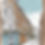 new legislation for leasehold and freehold reform Act 2024.jpg