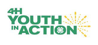 Youth in Action: Online Application Opens January 30th; Important Program Changes