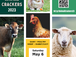 DEADLINE EXTENDED: 2023 Animal Crackers: Dairy, Sheep, Poultry, Rabbit/Cavy