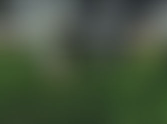 PROJECT S.O.W. Curriculum is Now Available