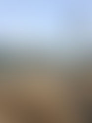 群馬県館林市代官町の住宅　配筋検査