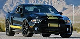 Shelby.jpg