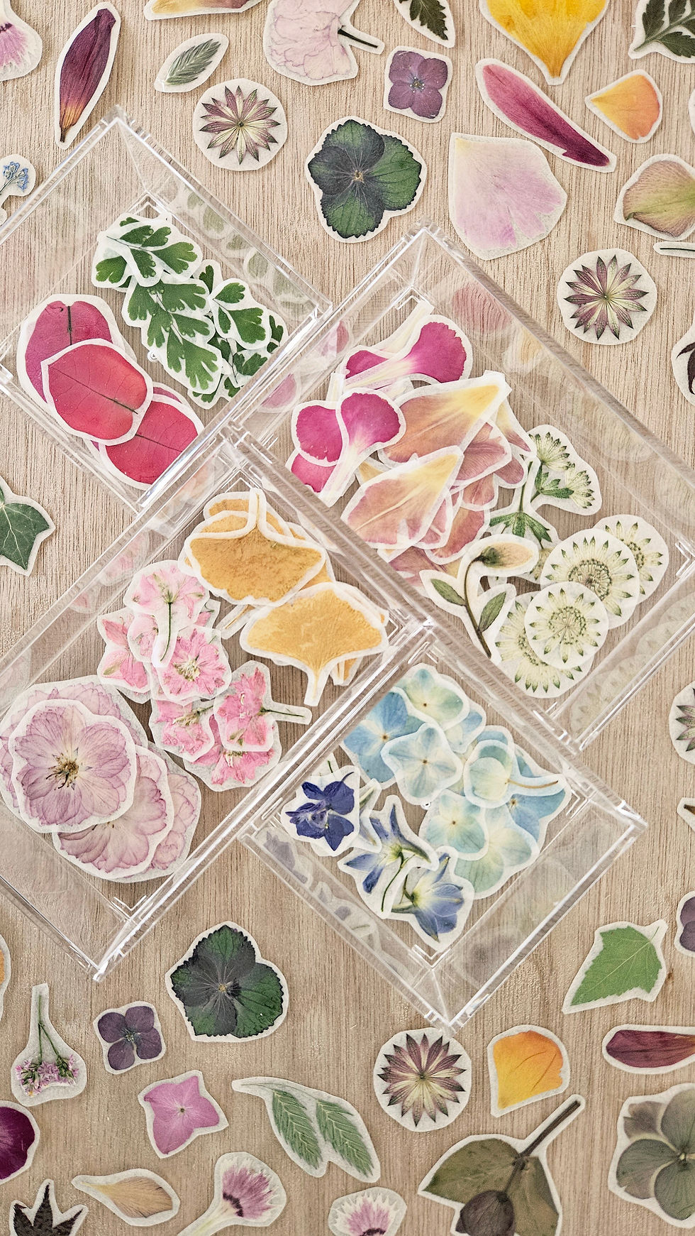 Miniature : Stickers de fleurs pressées
