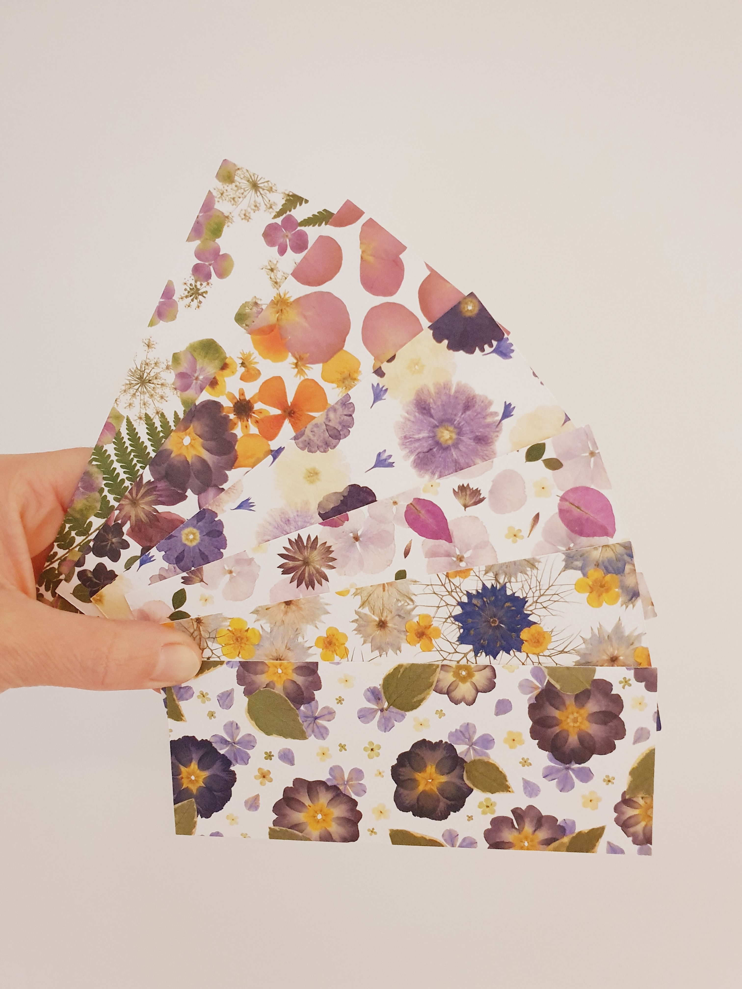 Pack de 6 marque page