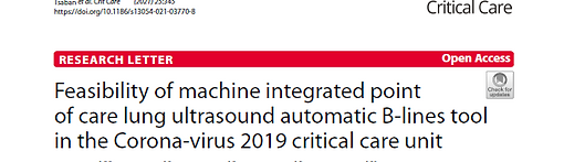 Feasibility of machine integrated point of care lung ultrasound automatic B‑lines tool in the Corona‑virus 2019 critical care unit