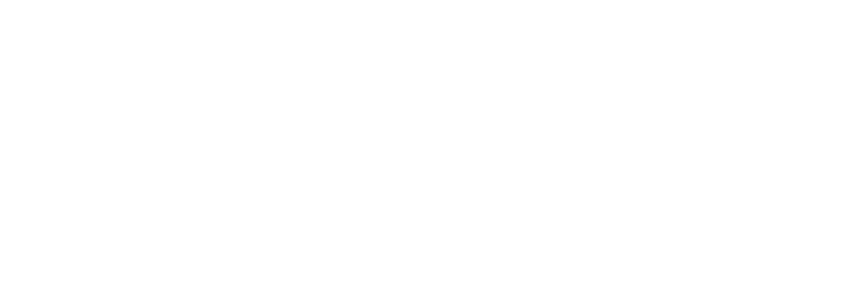LOGOWHITEwebresize.gif