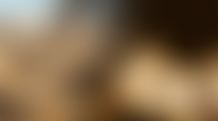 Reclaiming Joshua from the ‘Settler-Colonial’ Lens