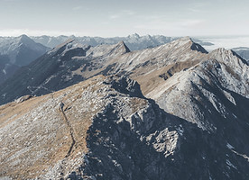 Consulting services to help you re-imagine your employee experience