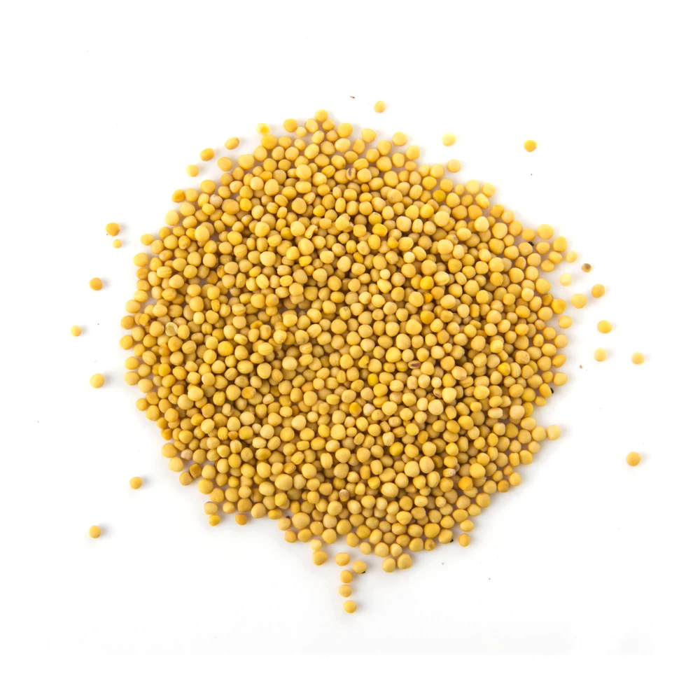 Yellow Mustard Seeds 100gm
