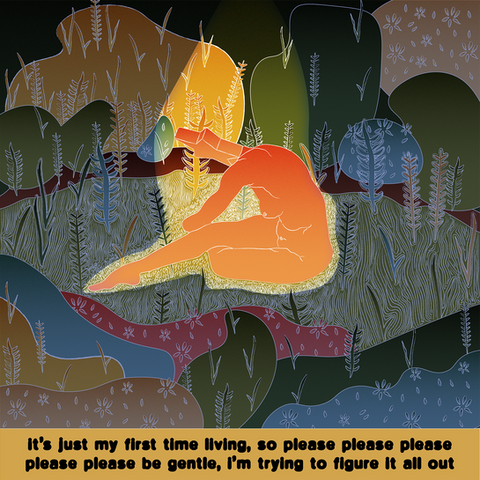 illustration of a star headed women sitting in a field of greenery, reads "it's just my first time living, so please please p