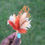 Thumbnail: Mini bouquets