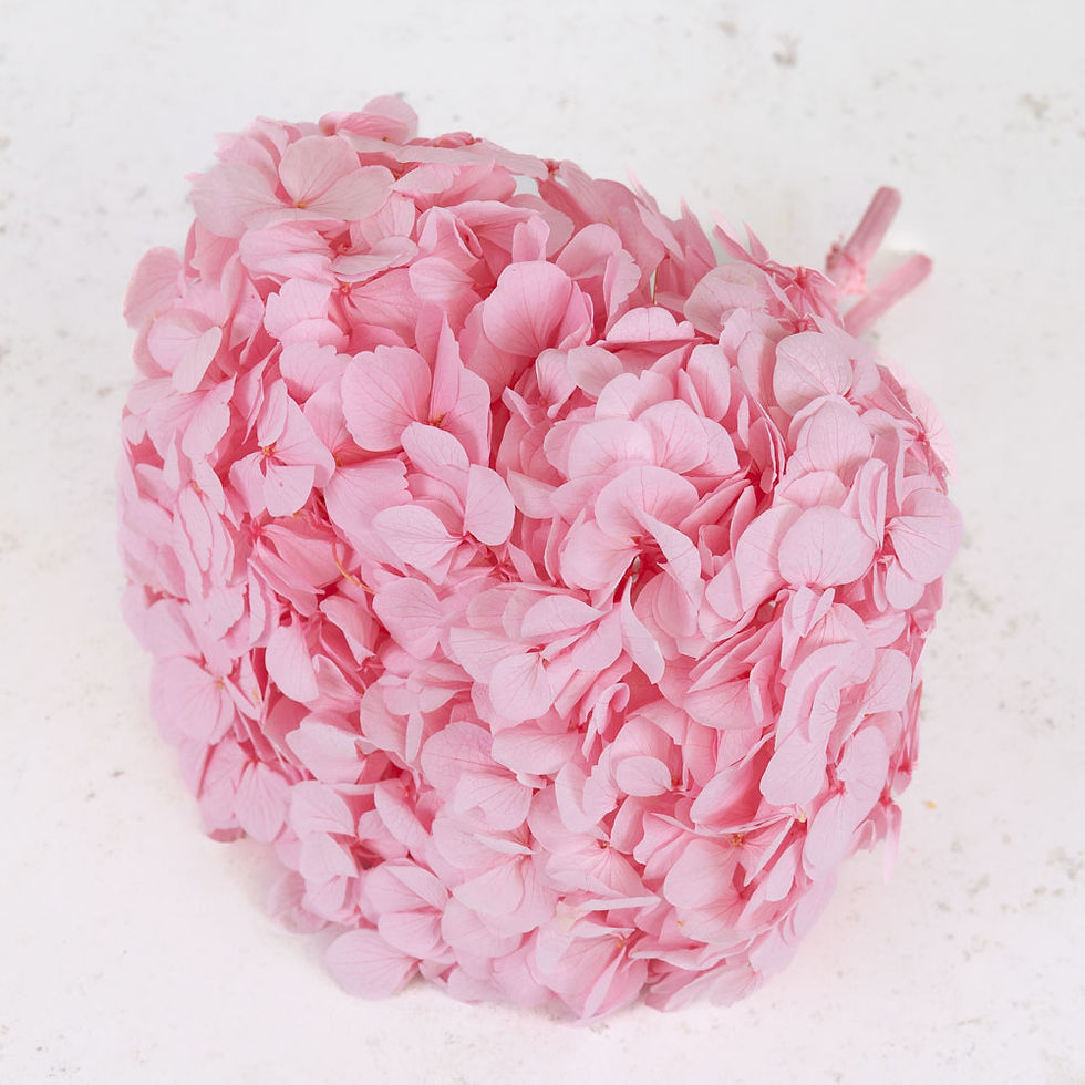 Thumbnail: Preserved hydrangeas
