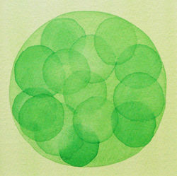 Watercolor of morula in yellow and green
