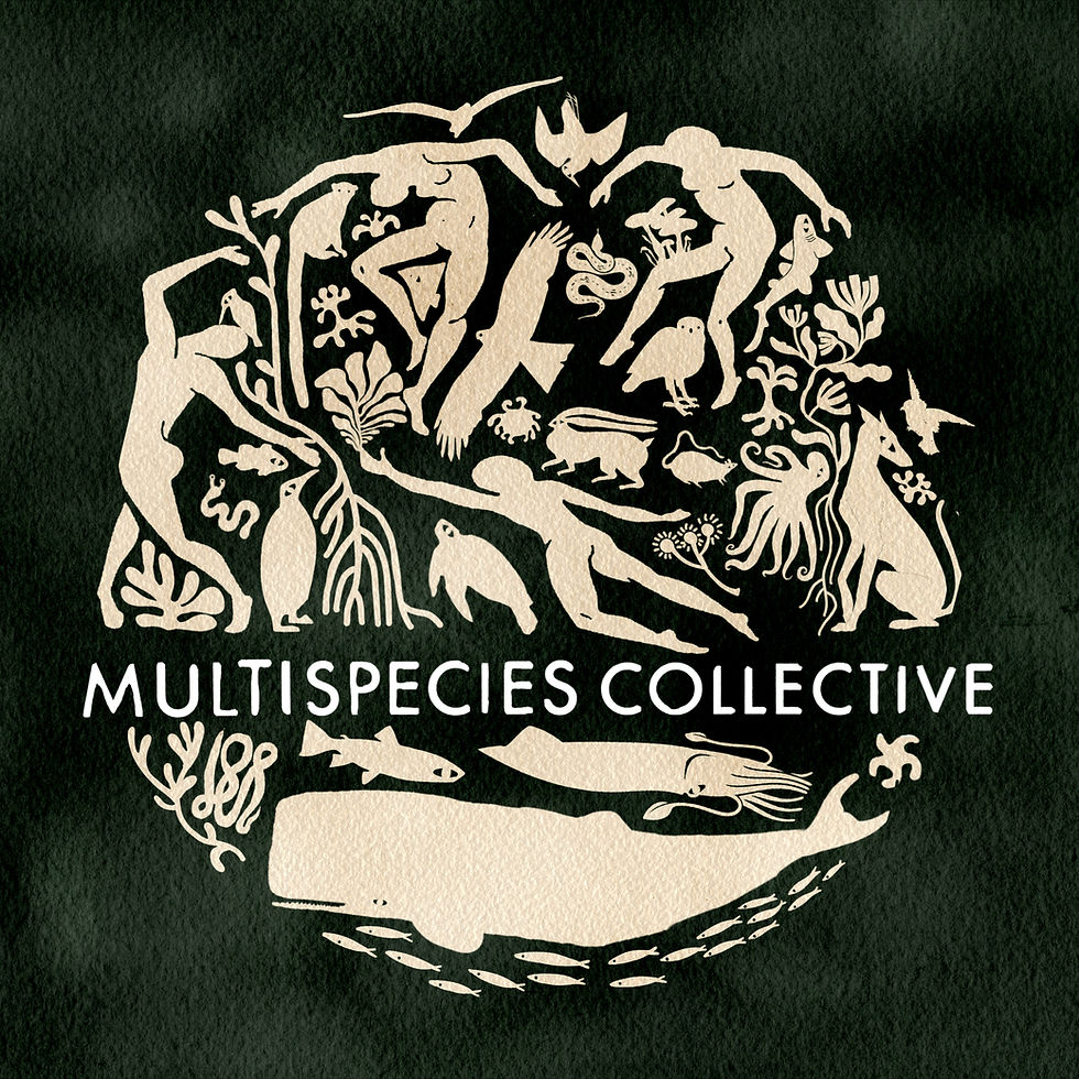 Launching the Multispecies Collective