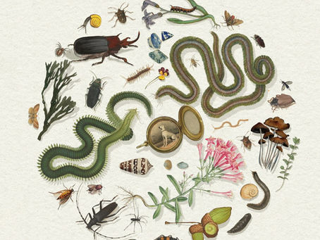 Reflecting on our Week of Multispecies Flourishing