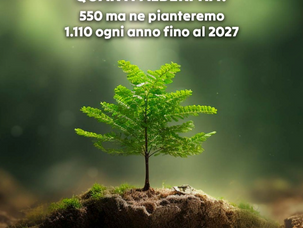 La foresta di Millesimo