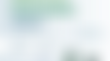 Bilancio di Sostenibilità 2024