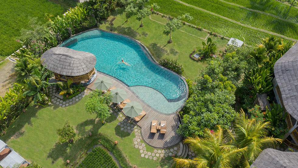 Main Pool (1).jpg