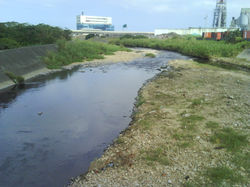 DSC00038.JPG