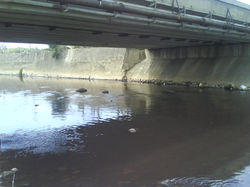 DSC00035.JPG