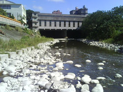 DSC00028.JPG