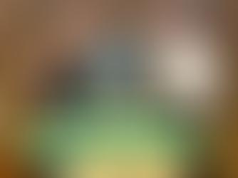 Travel Da Boot's Journey; Mayor Bourque