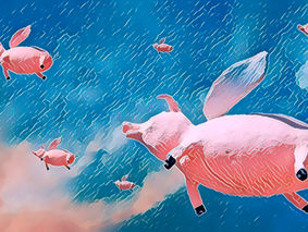 The importance of being 'pigs'