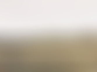 Older, but none the wiser