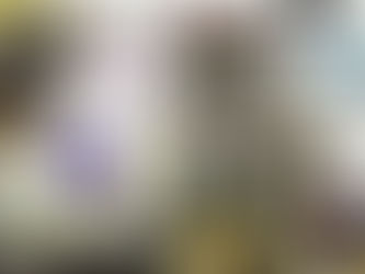 Hardware without the software