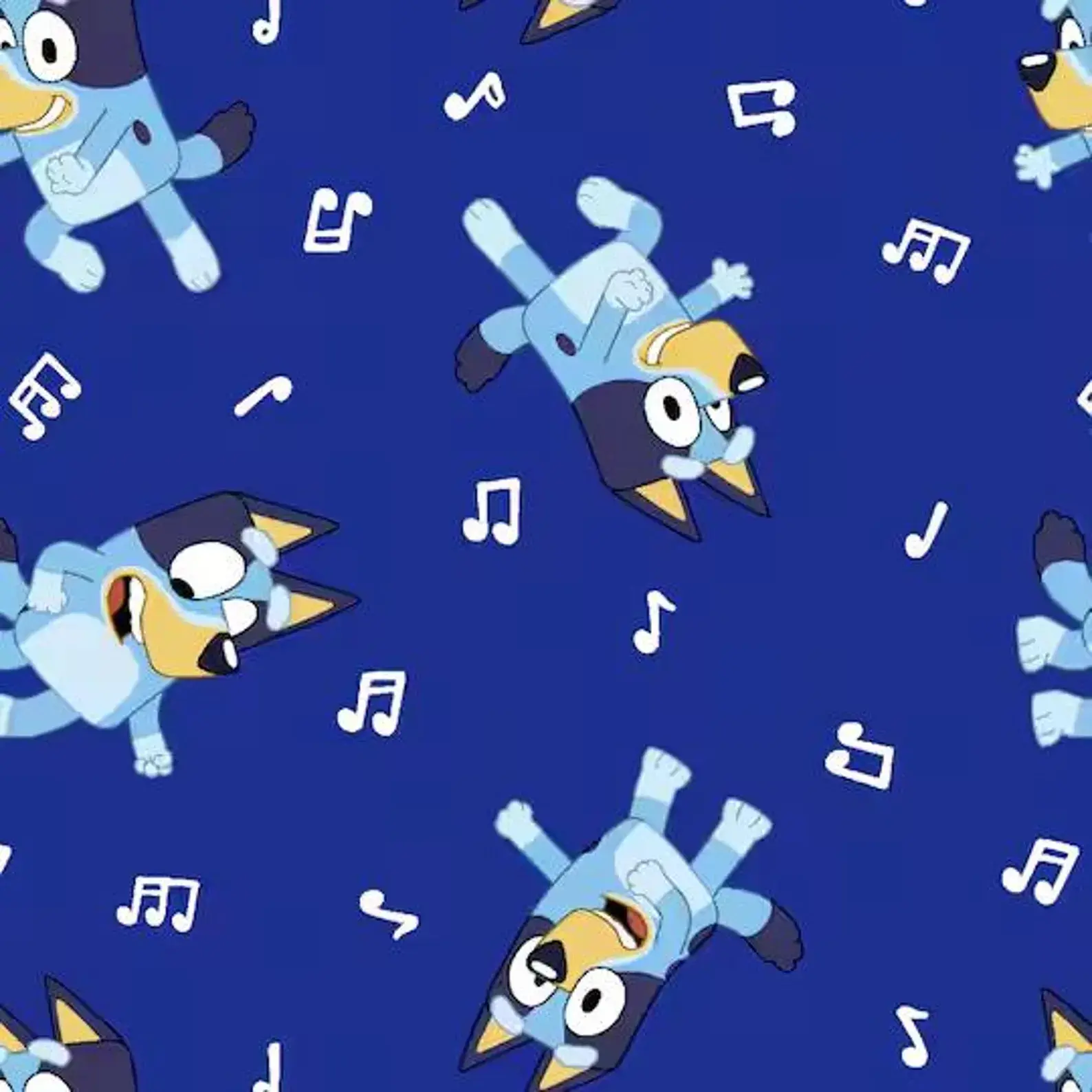 Bluey Dance Notes