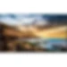 Samsung QE85T Digital Signage Display - 85" LCD Cortex A72 1.70 GHz - 2 GB LPDDR4 - 3840 x 2160 - Direct LED - 300 Nit - 2160