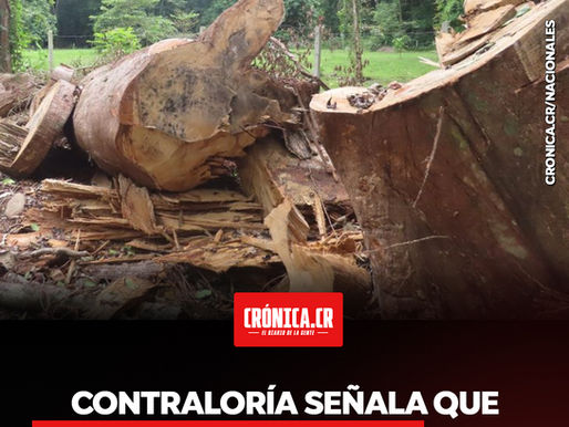Contraloría señala que 83% de permisos dados por el SINAC incumplieron controles