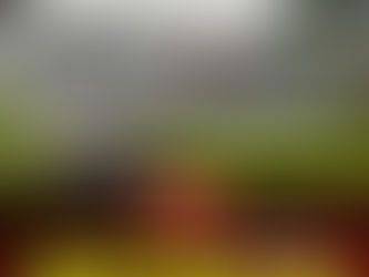 Onda tropical 23 golpeó a Sarapiquí, Turrialba y Limón, 140 incidentes se reportaron