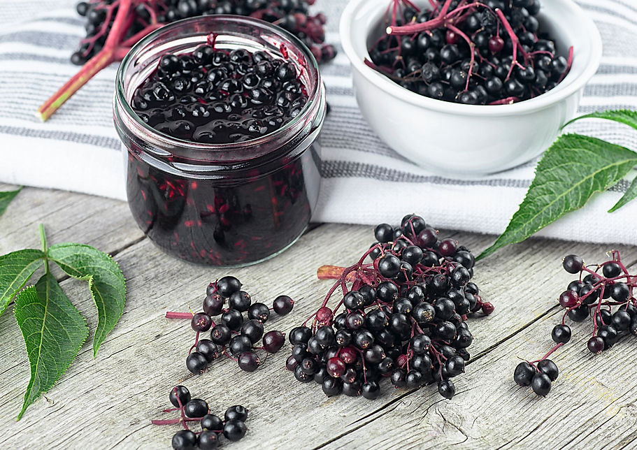 holunderbeeren.jpg