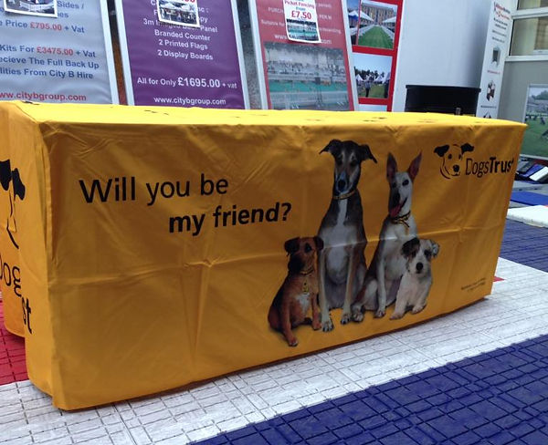 CroppedImage768624-DOGS-TRUST-1-1.JPG
