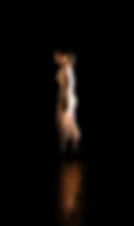 Appearing-Disappearing-1-cropped.jpeg