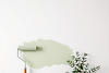 White wall with a color roller, painting the wall in a natural sage green..png