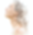 Screen Shot 2021-03-14 at 11.49.31 AM.png