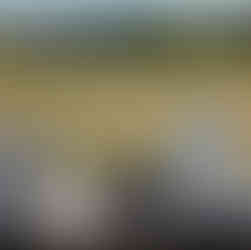 Casamiento Chacra Punta del Este