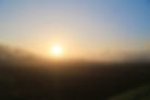 IMG_8312+.jpg