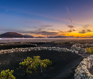 wine-tours-lanzarote-zoco.jpg