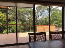 PHOTO-2020-07-23-23-05-47 (1)