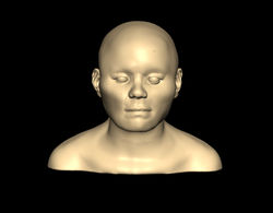 Trelleborgs Female Frontal