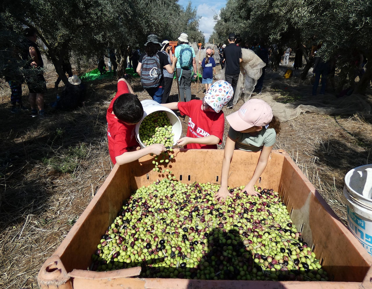 צילמה: יעל הורוביץ