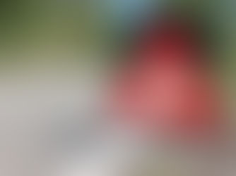 Cross-Border Enforcement Directive